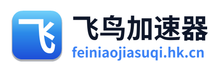 飞鸟加速器